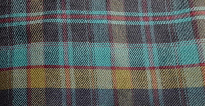 Outback King | Cowgirl Classic Shirt | Blue/Red Flannel Check