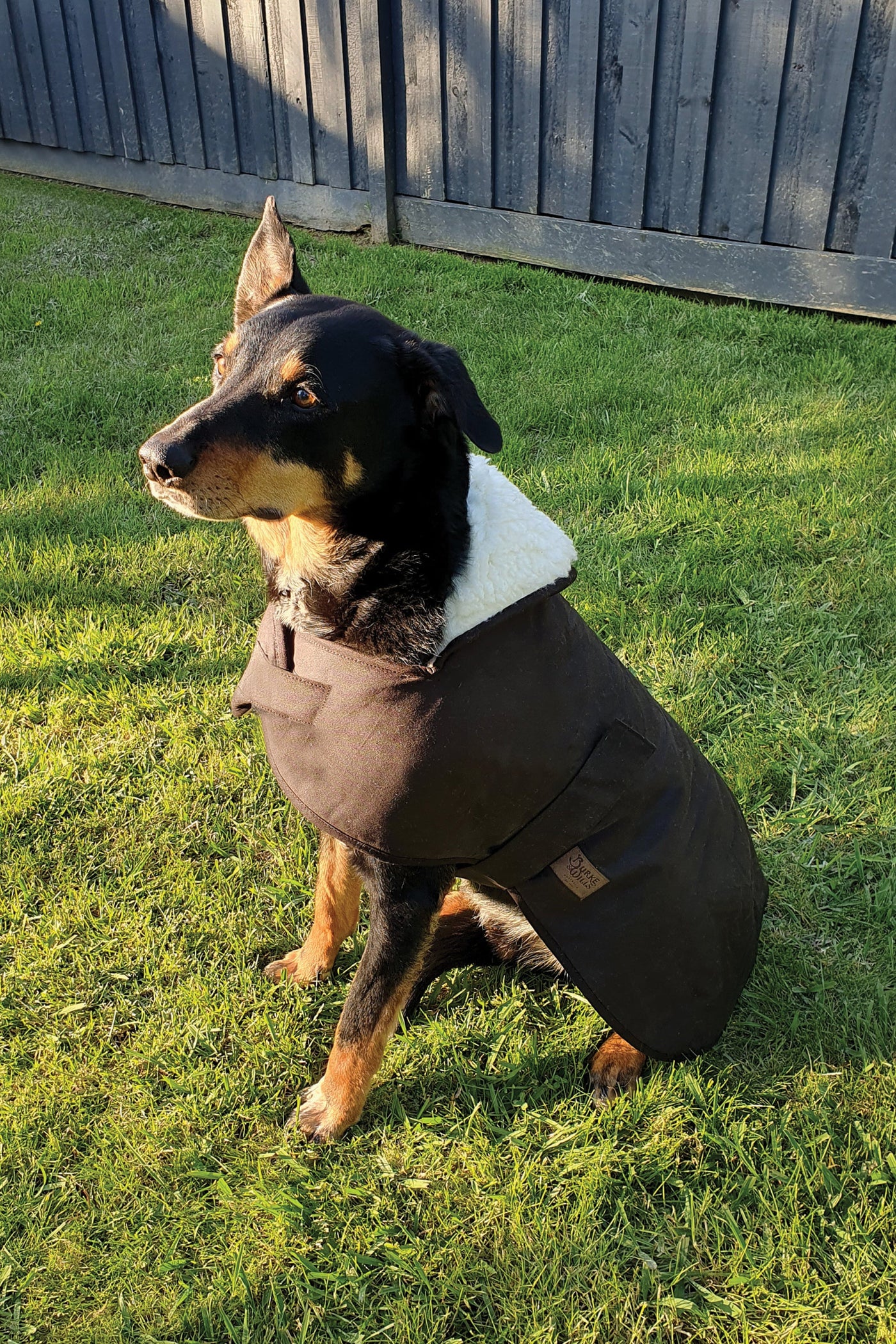 Burke & Wills Oilskin Dog Coat with Sherpa Lining