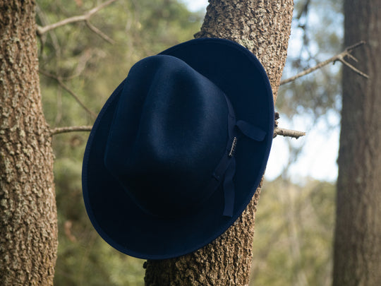 MississippiBlueTree_540x.jpg?v