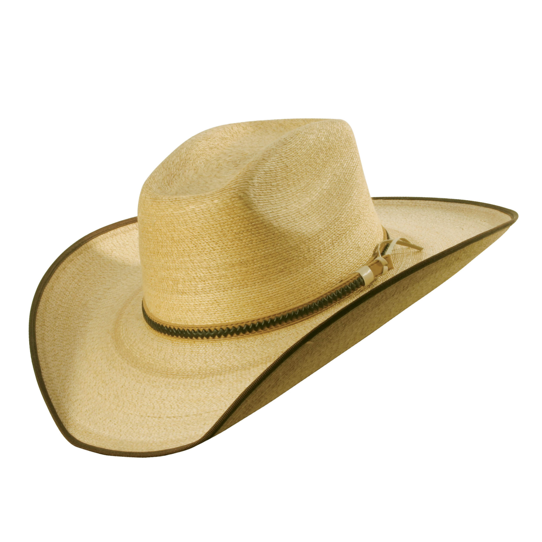Sunbody Hats I Boxtop I Golden Mexican Palm