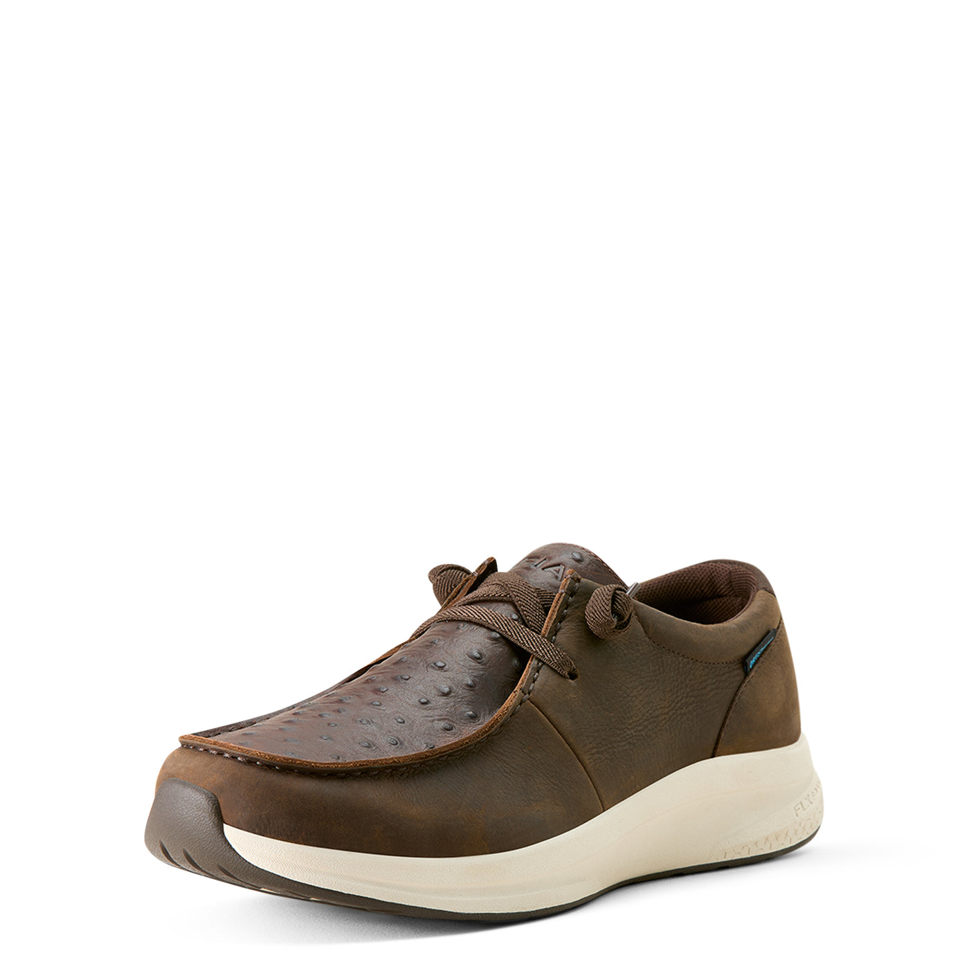 Ariat | Men’s Buckeye | Waterproof Shoe | Chocolate Quill Ostrich Print