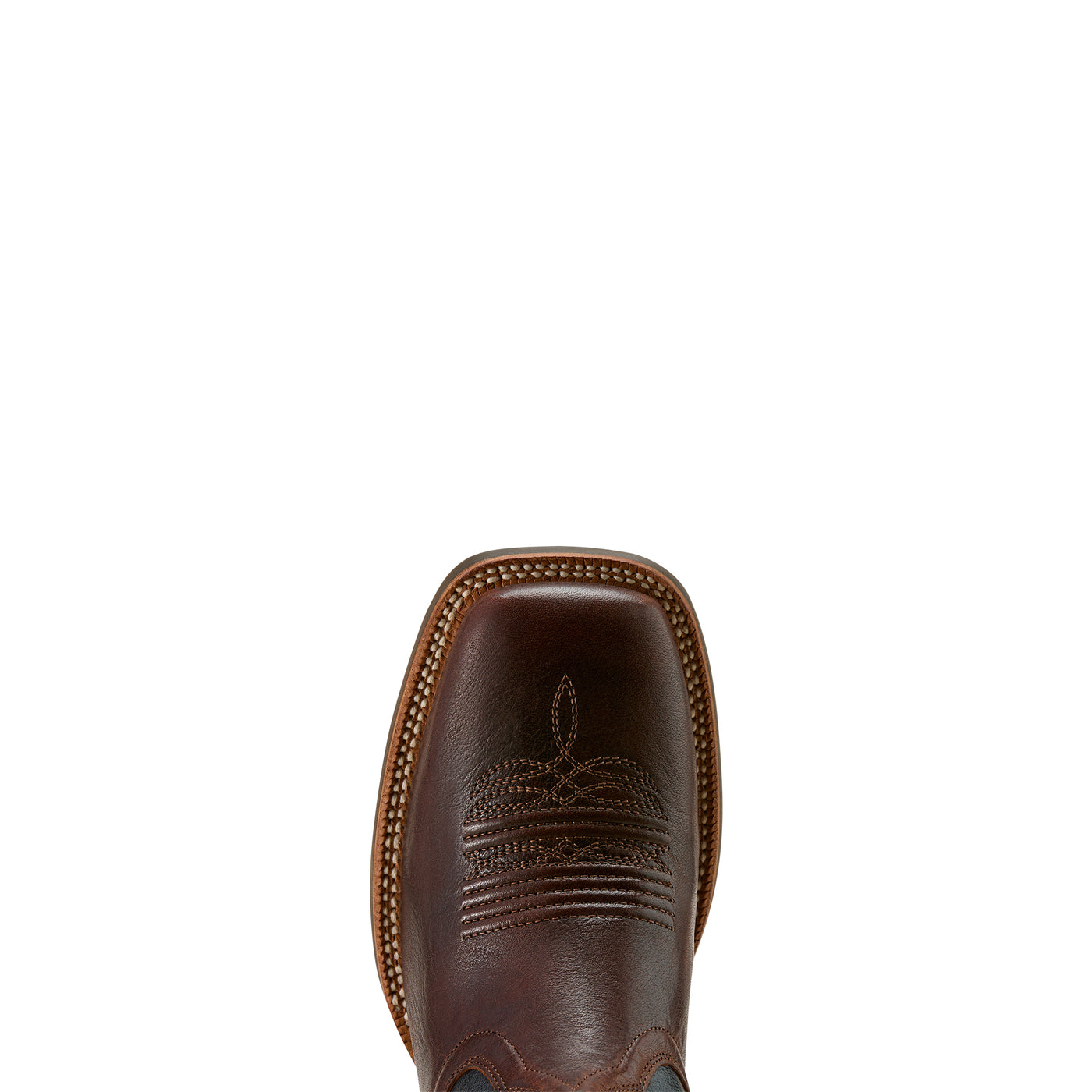 Ariat | Women's Showdown Western Boot | Espresso